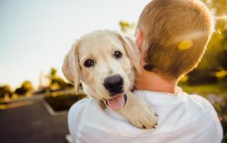 Dog hugging boy